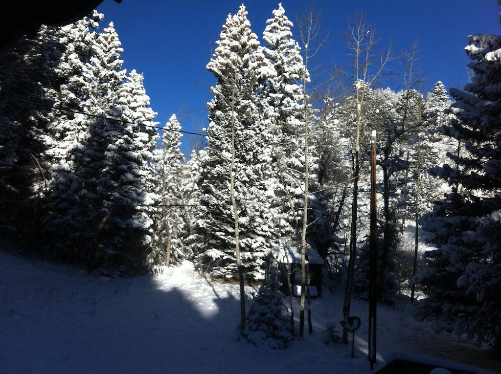 Elk Run Bed And Breakfast Evergreen Exterior foto